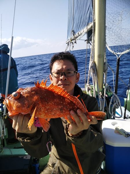 康仁丸・ジギング釣り果